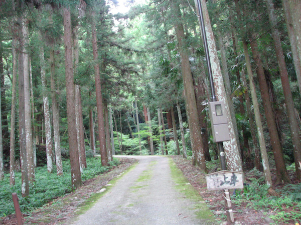 camp24 (446).jpg